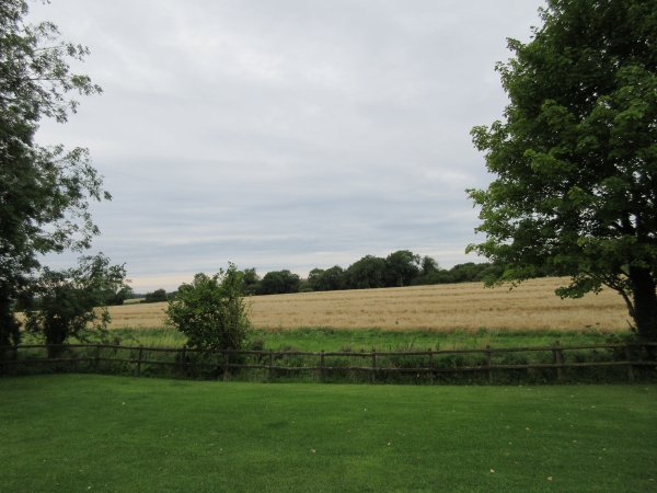 The adjacent wheat field waiting the combine