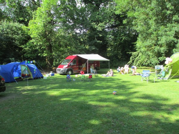 In the Savernake forest, Wiltshire